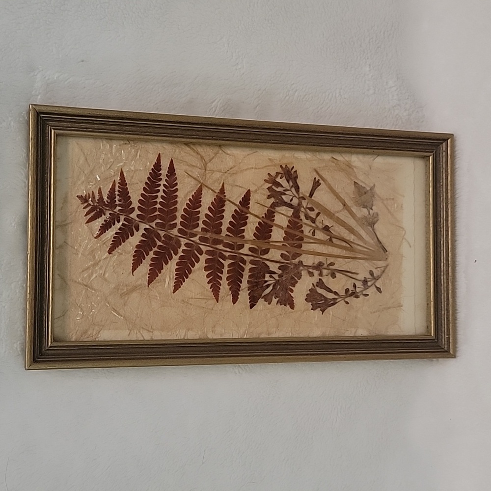 #2 Nice 9" x 5" Pressed Plant Picture